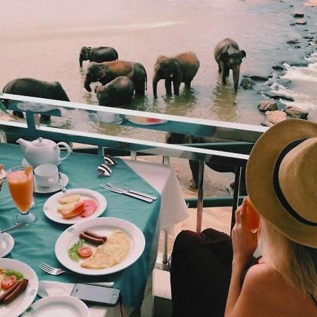 Hotel Elephant Park - New Deal! Half Off Airport Pickups Available Pinnawala  Exteriér fotografie