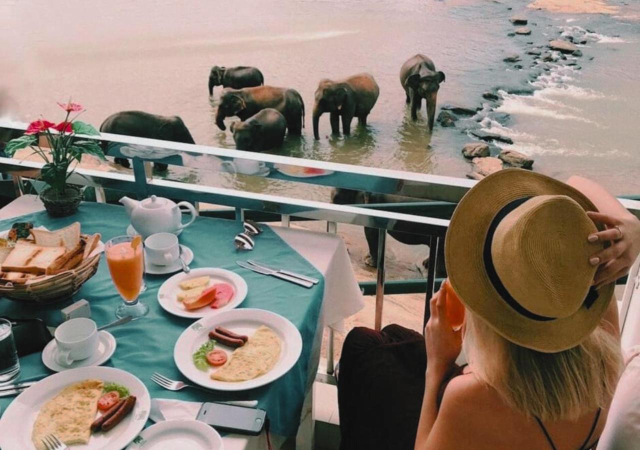 Hotel Elephant Park - New Deal! Half Off Airport Pickups Available Pinnawala  Exteriér fotografie