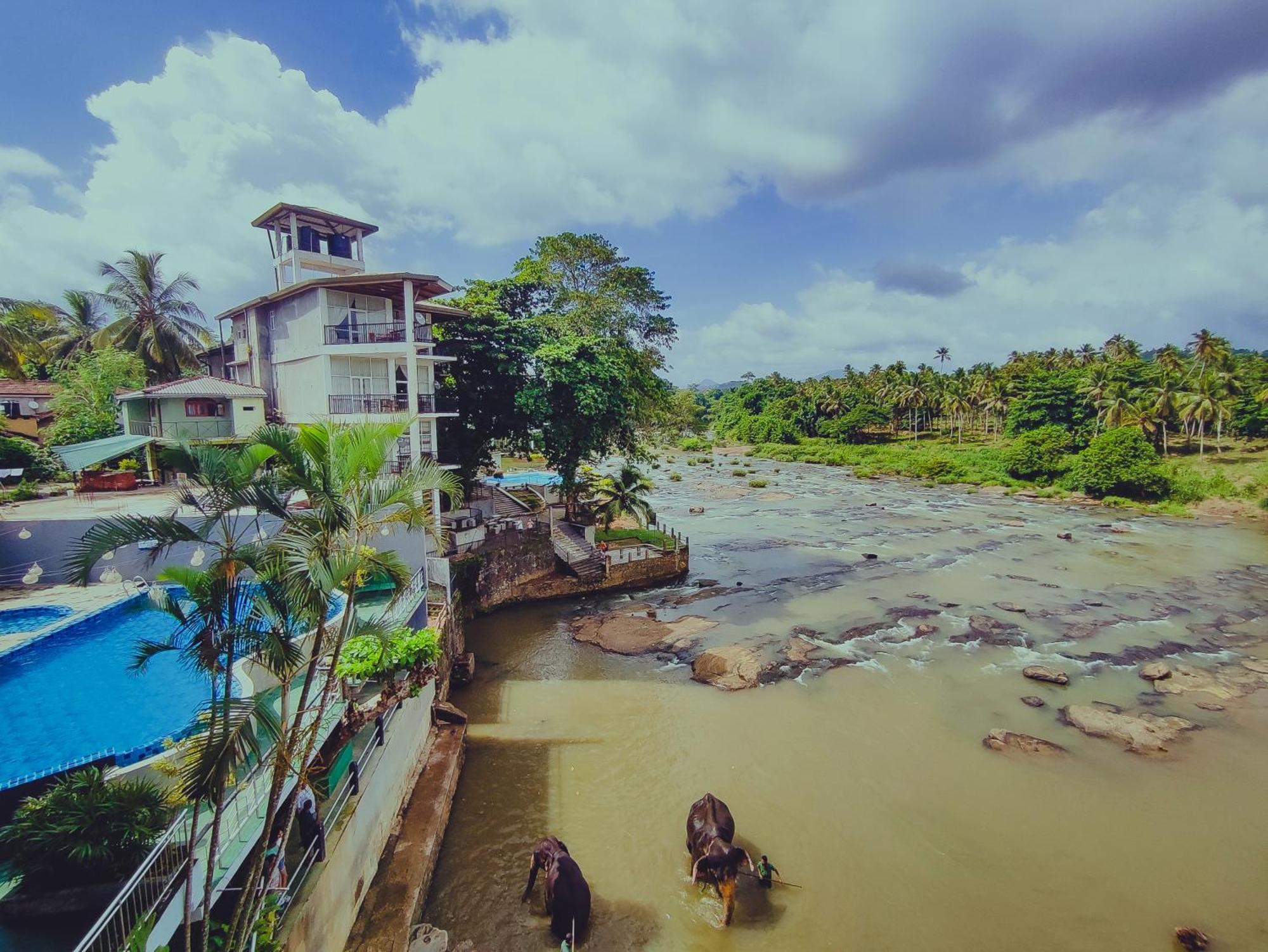Hotel Elephant Park - New Deal! Half Off Airport Pickups Available Pinnawala  Exteriér fotografie