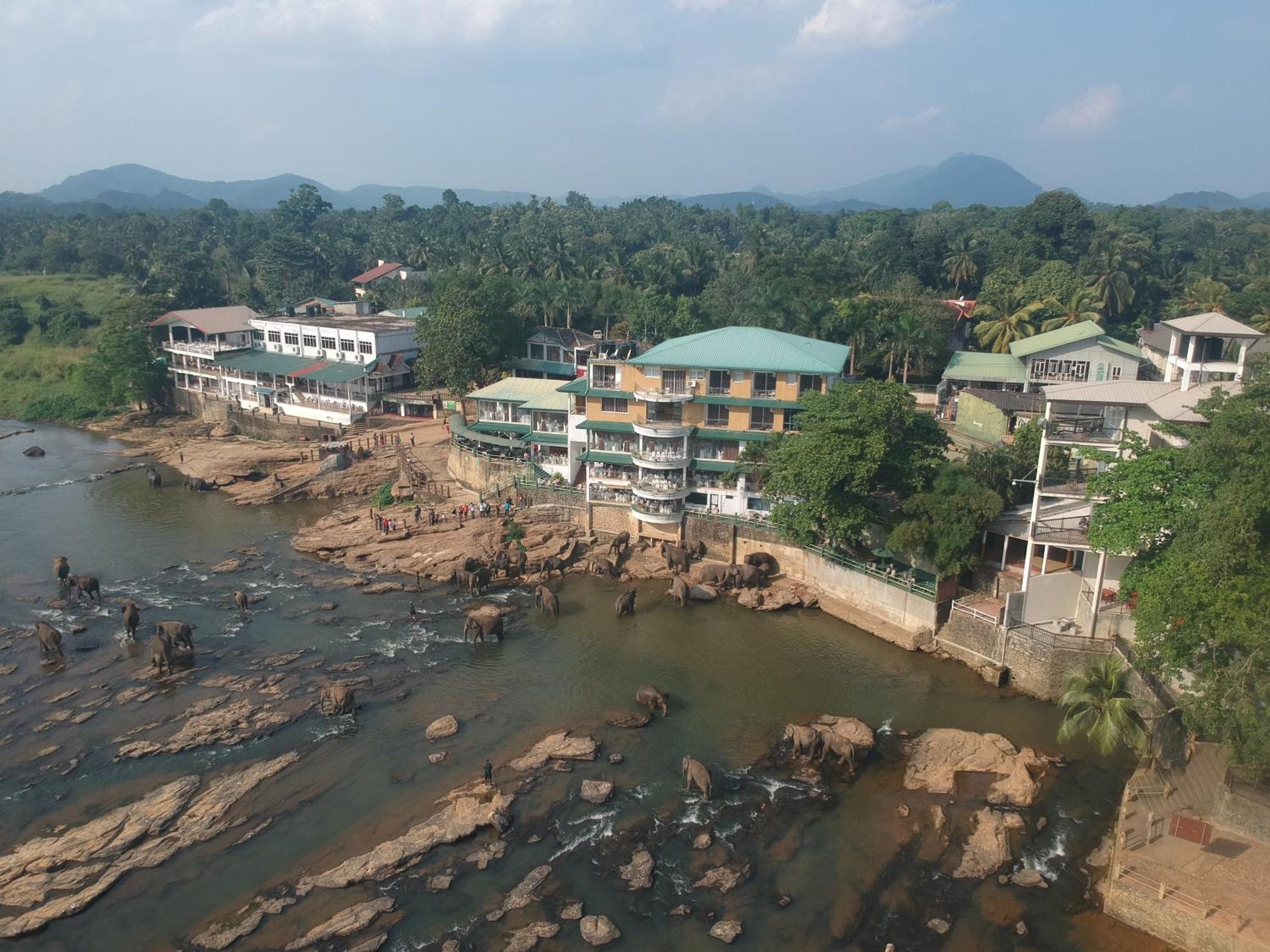 Hotel Elephant Park - New Deal! Half Off Airport Pickups Available Pinnawala  Exteriér fotografie
