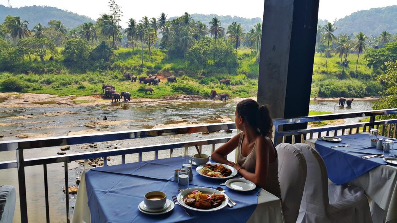Hotel Elephant Park - New Deal! Half Off Airport Pickups Available Pinnawala  Exteriér fotografie