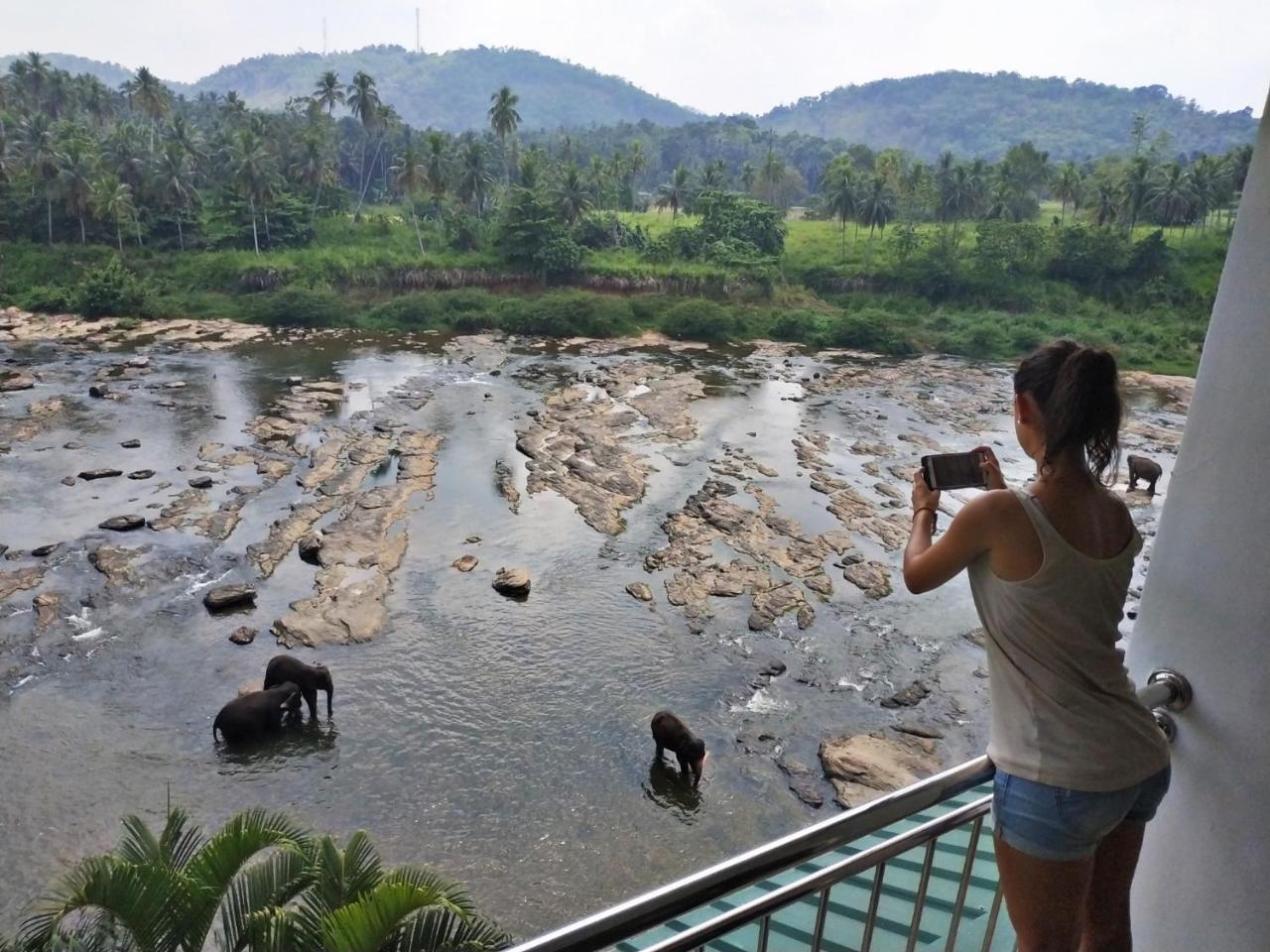 Hotel Elephant Park - New Deal! Half Off Airport Pickups Available Pinnawala  Exteriér fotografie