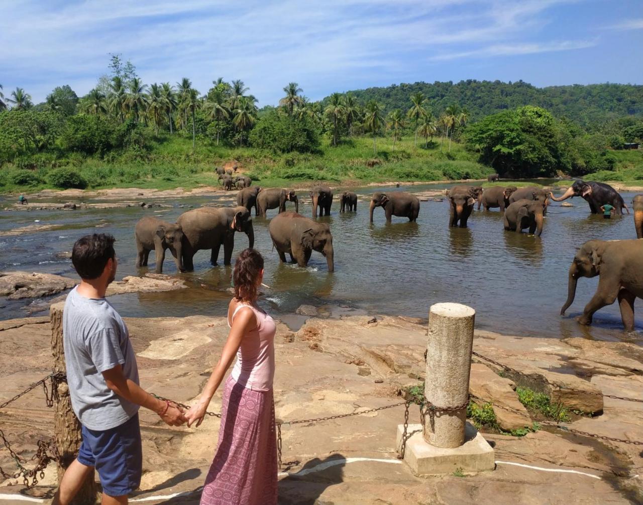 Hotel Elephant Park - New Deal! Half Off Airport Pickups Available Pinnawala  Exteriér fotografie