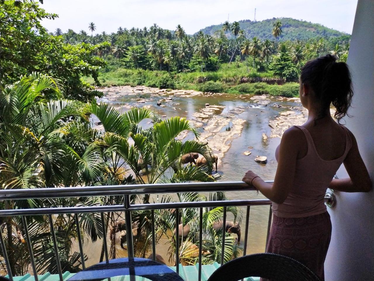 Hotel Elephant Park - New Deal! Half Off Airport Pickups Available Pinnawala  Exteriér fotografie
