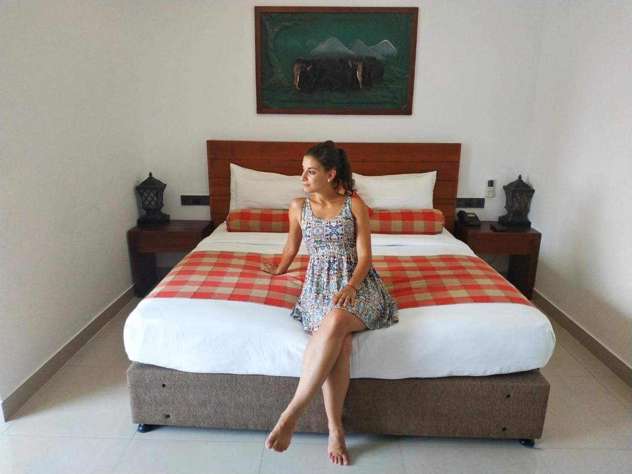 Hotel Elephant Park - New Deal! Half Off Airport Pickups Available Pinnawala  Exteriér fotografie