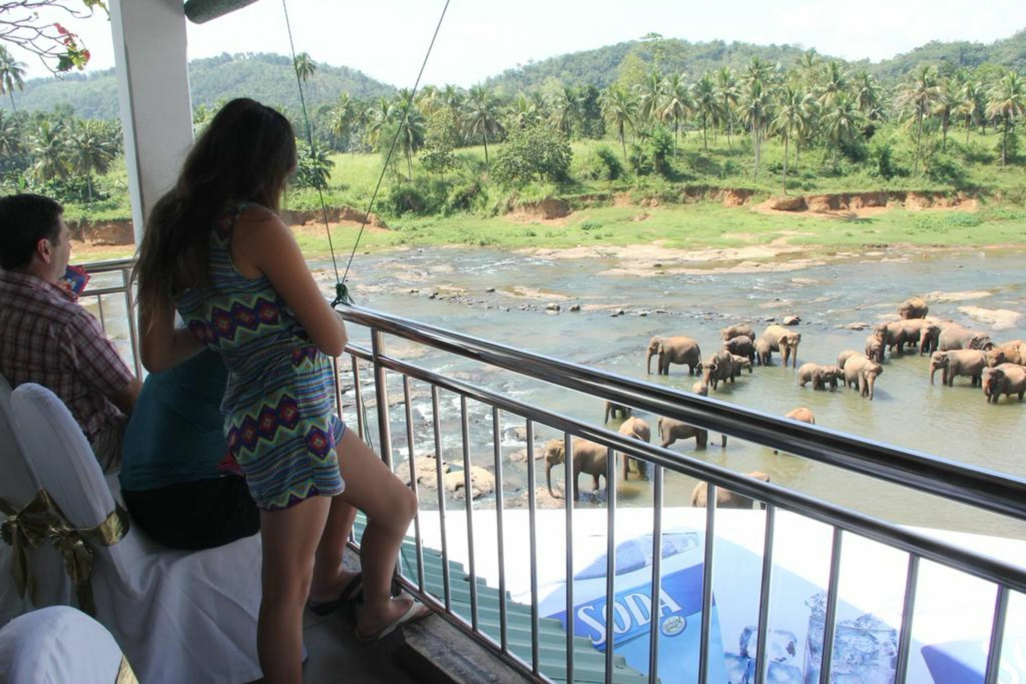 Hotel Elephant Park - New Deal! Half Off Airport Pickups Available Pinnawala  Exteriér fotografie