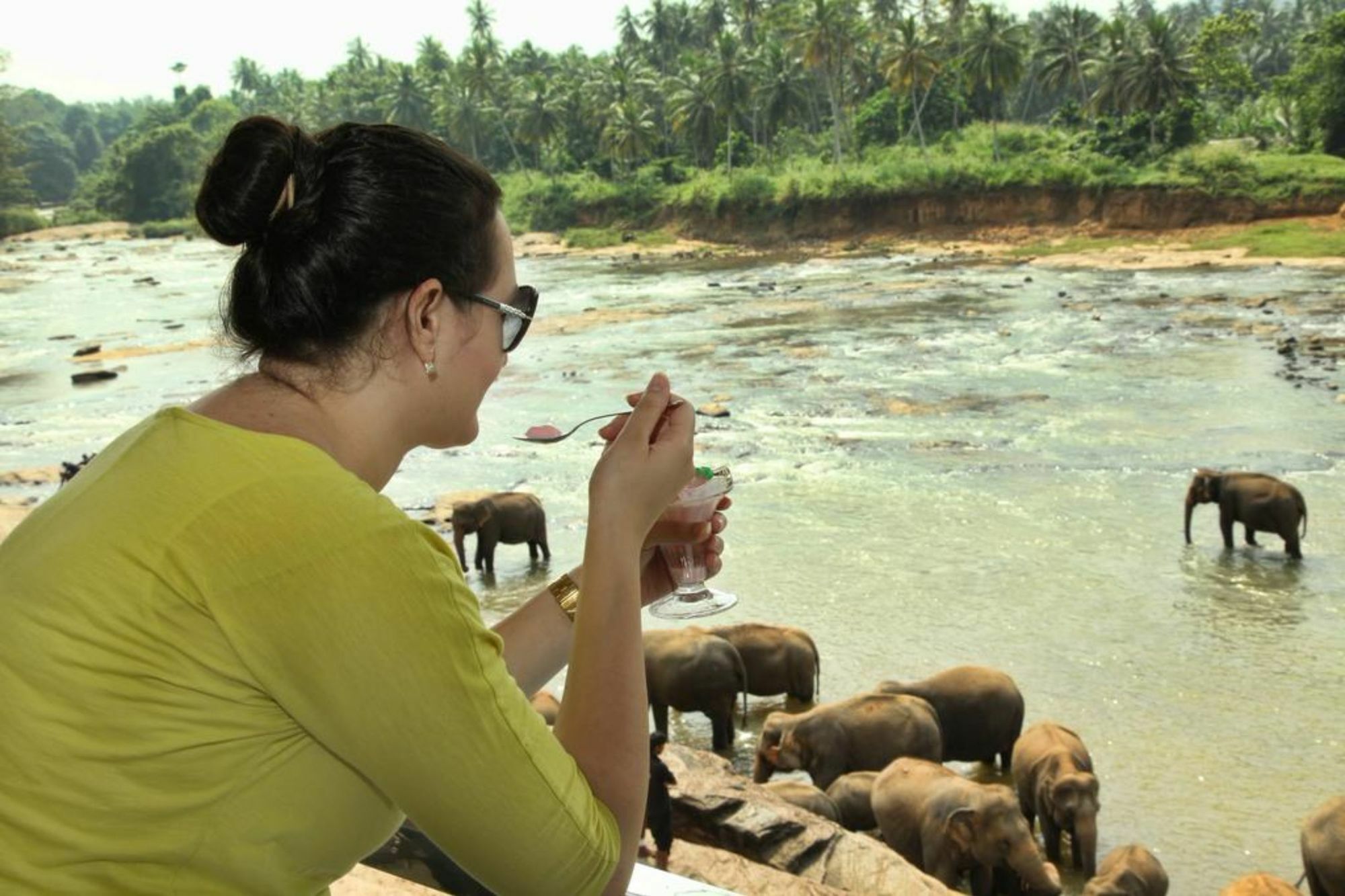 Hotel Elephant Park - New Deal! Half Off Airport Pickups Available Pinnawala  Exteriér fotografie