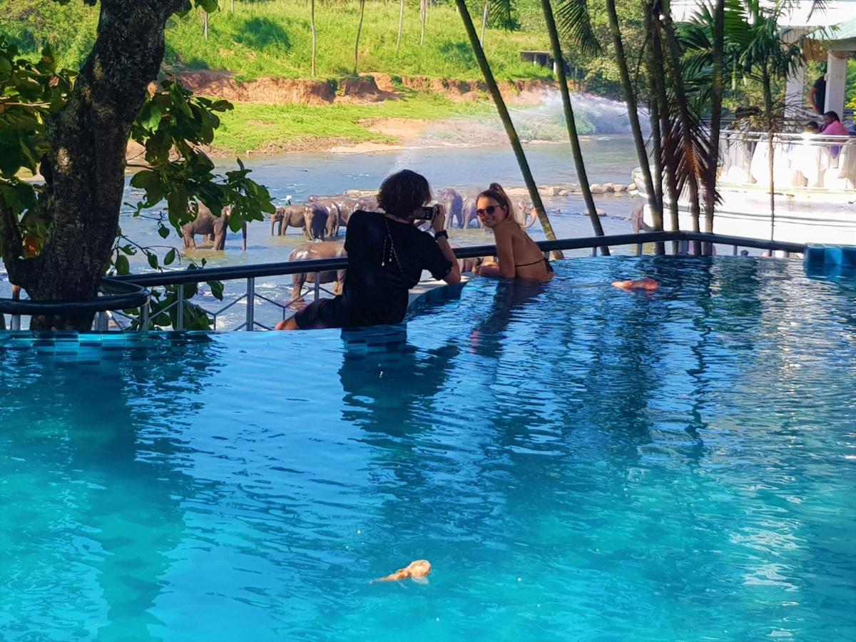 Hotel Elephant Park - New Deal! Half Off Airport Pickups Available Pinnawala  Exteriér fotografie